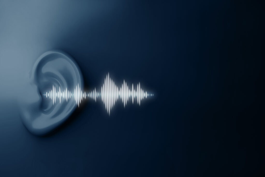 voice Ai
